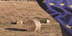 UE, approvata dal Parlamento Europeo la relazione sulla Farm to Fork, “Bene approvazione dell’Emendamento Dorfmann che sottolinea necessità di impatto cumulativo”